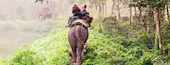 Jungle safari in Nepal